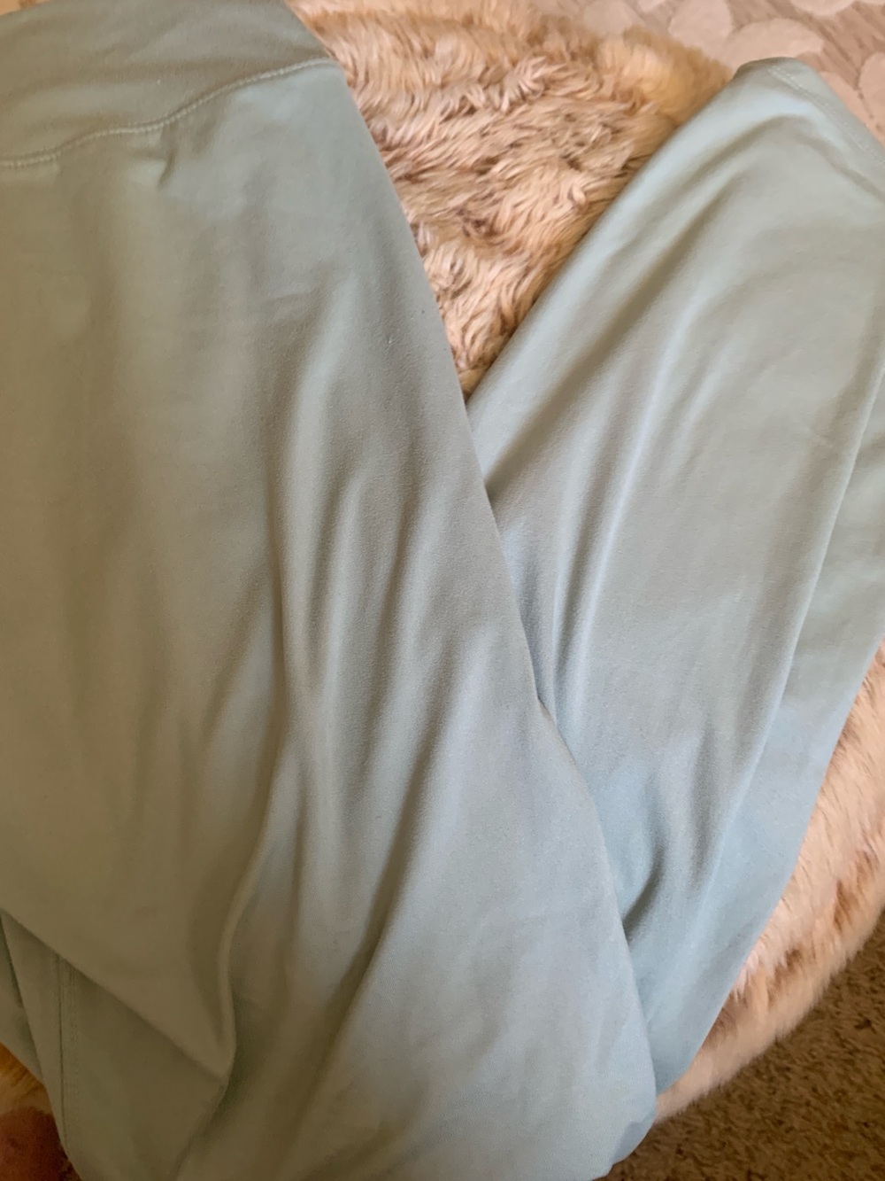 wild fable Light Sage Stretch Jeggings